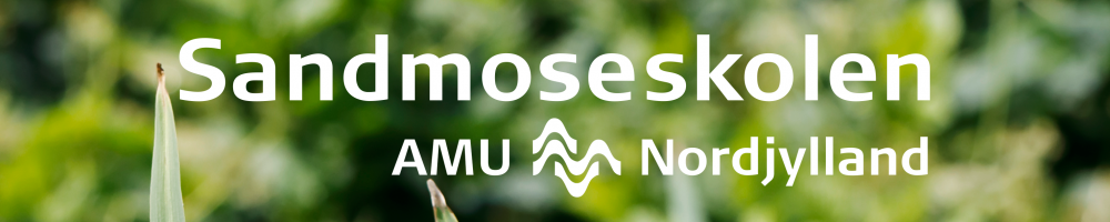 AMU Nordjylland