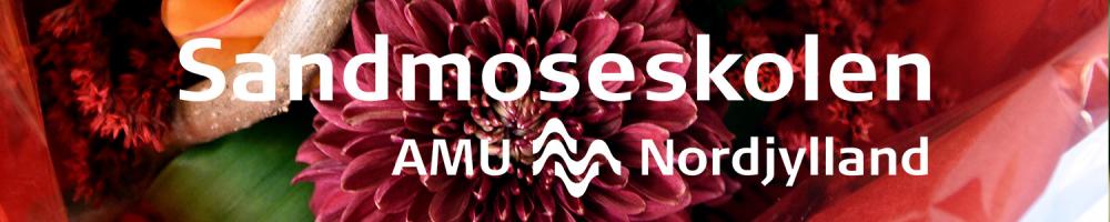 AMU Nordjylland
