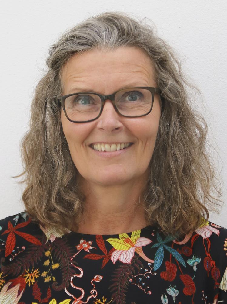 sni@amunordjylland.dk